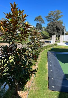 Hamptons Coastal Landscape Design, Nelson Bay, Port Stephens