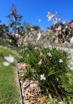 Hamptons Coastal Landscape Design, Nelson Bay, Port Stephens