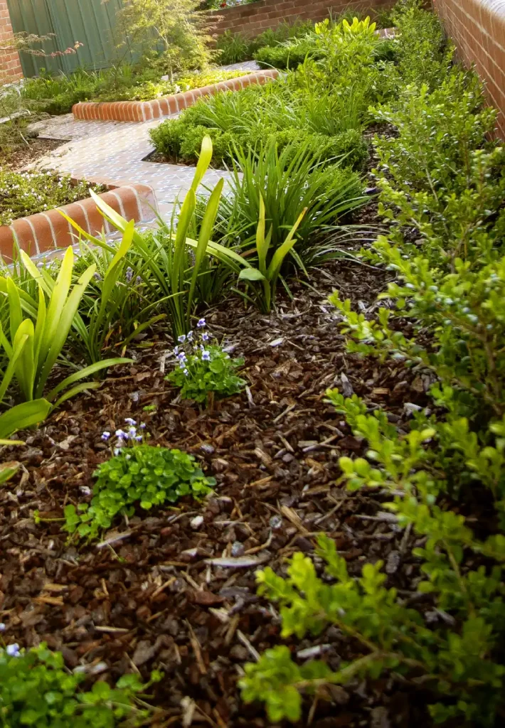 Heritage inspired landscape design for a renovated heritage bungalow in Hamilton East, Newcastle inspired by formal garden design