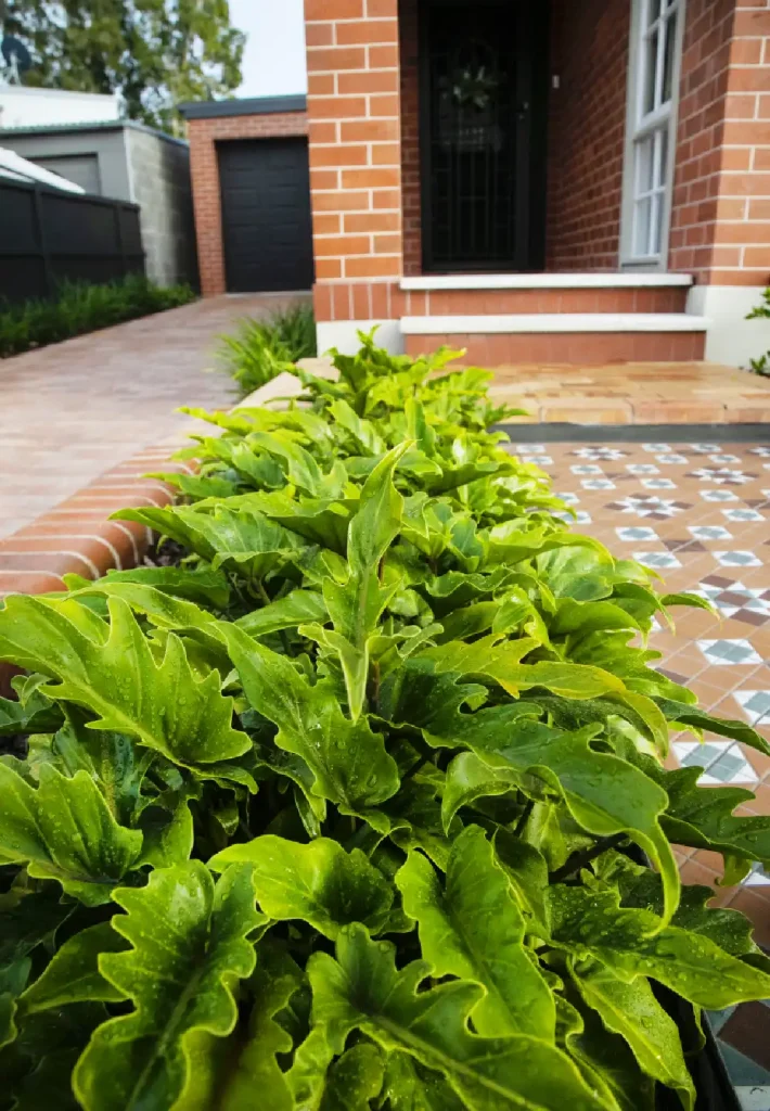 Heritage inspired landscape design for a renovated heritage bungalow in Hamilton East, Newcastle inspired by formal garden design