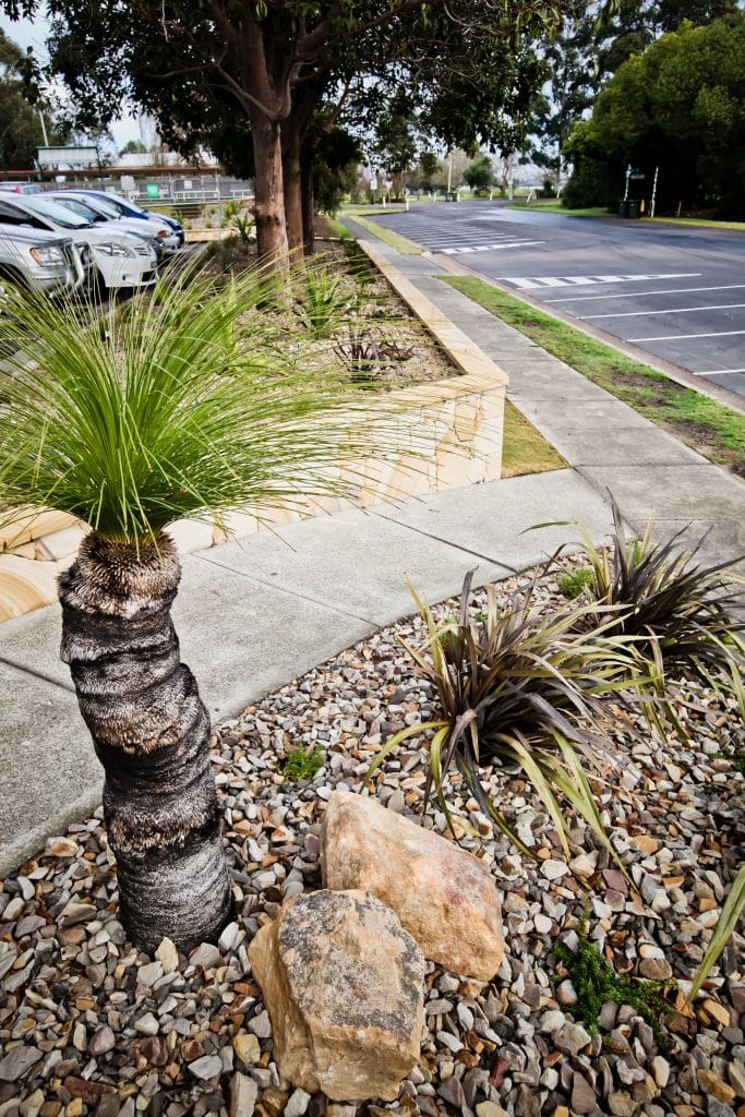 Australian Native Landscape Design, Commercial Landscape Design, Raymond Terrace, Port Stephens