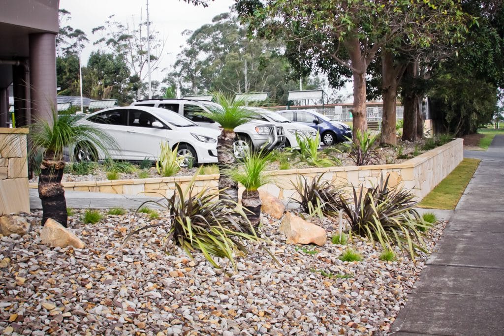 Australian Native Landscape Design, Commercial Landscape Design, Raymond Terrace, Port Stephens