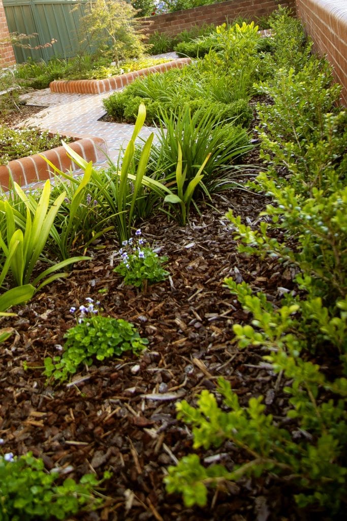 Heritage inspired landscape design for a renovated heritage bungalow in Hamilton East, Newcastle inspired by formal garden design