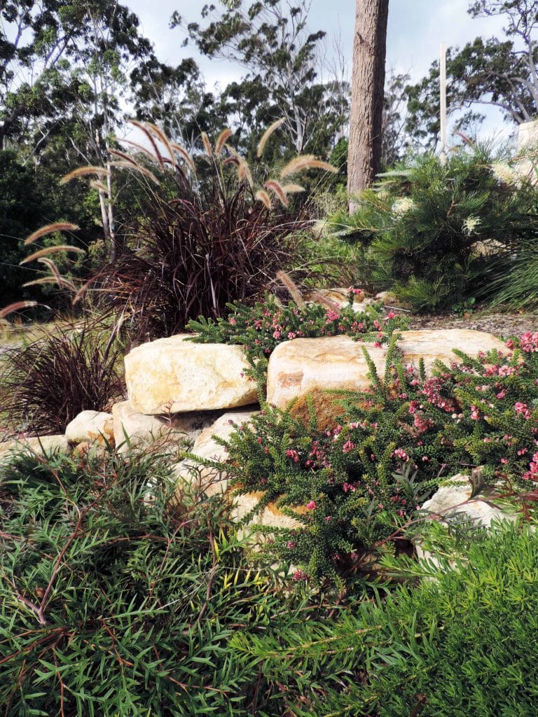 Contemporary Native Garden Design, Nelson Bay, Port Stephens