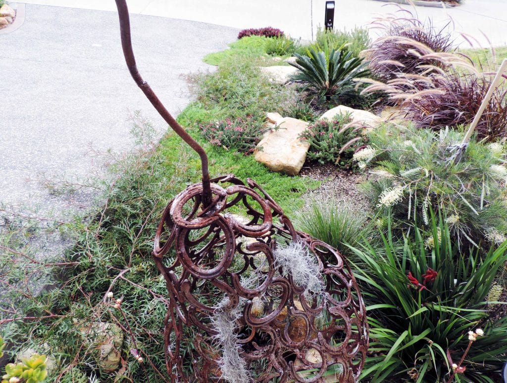 Contemporary Native Garden Design, Nelson Bay, Port Stephens