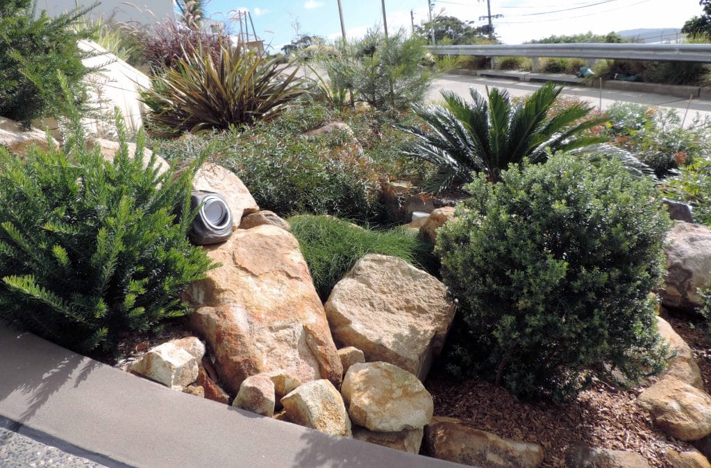 Contemporary Native Garden Design, Nelson Bay, Port Stephens