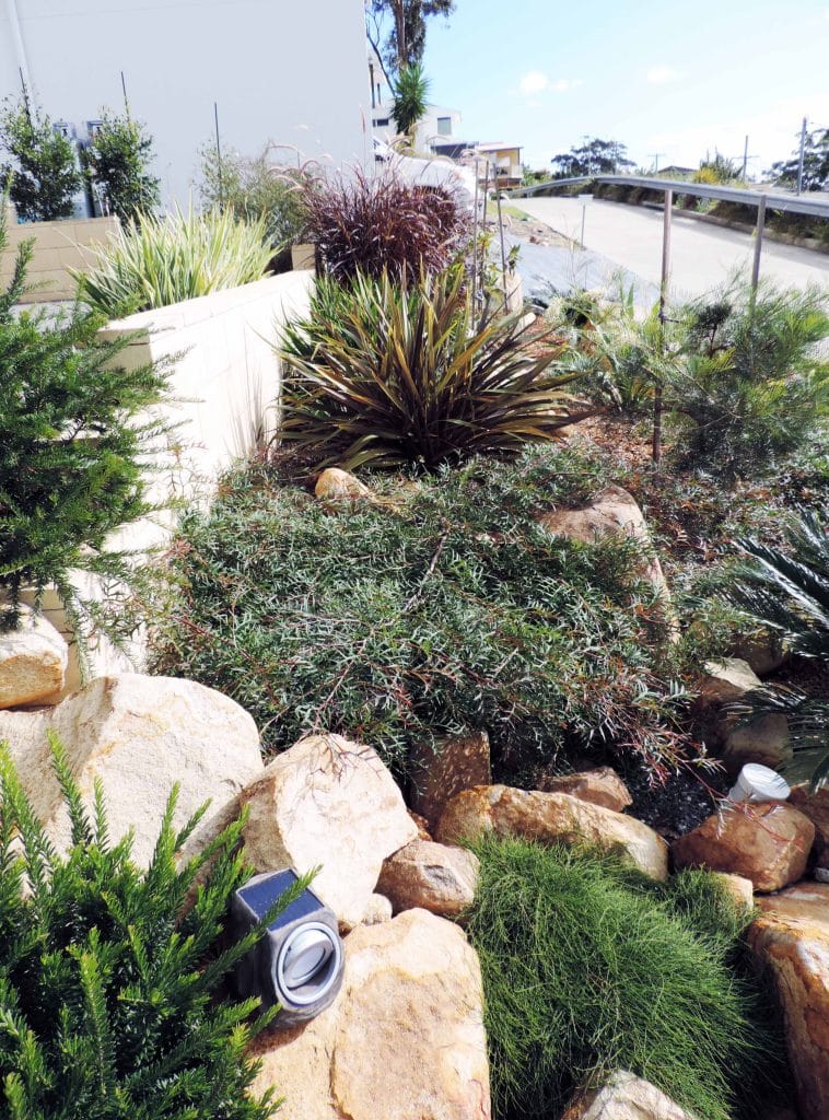 Contemporary Native Garden Design, Nelson Bay, Port Stephens