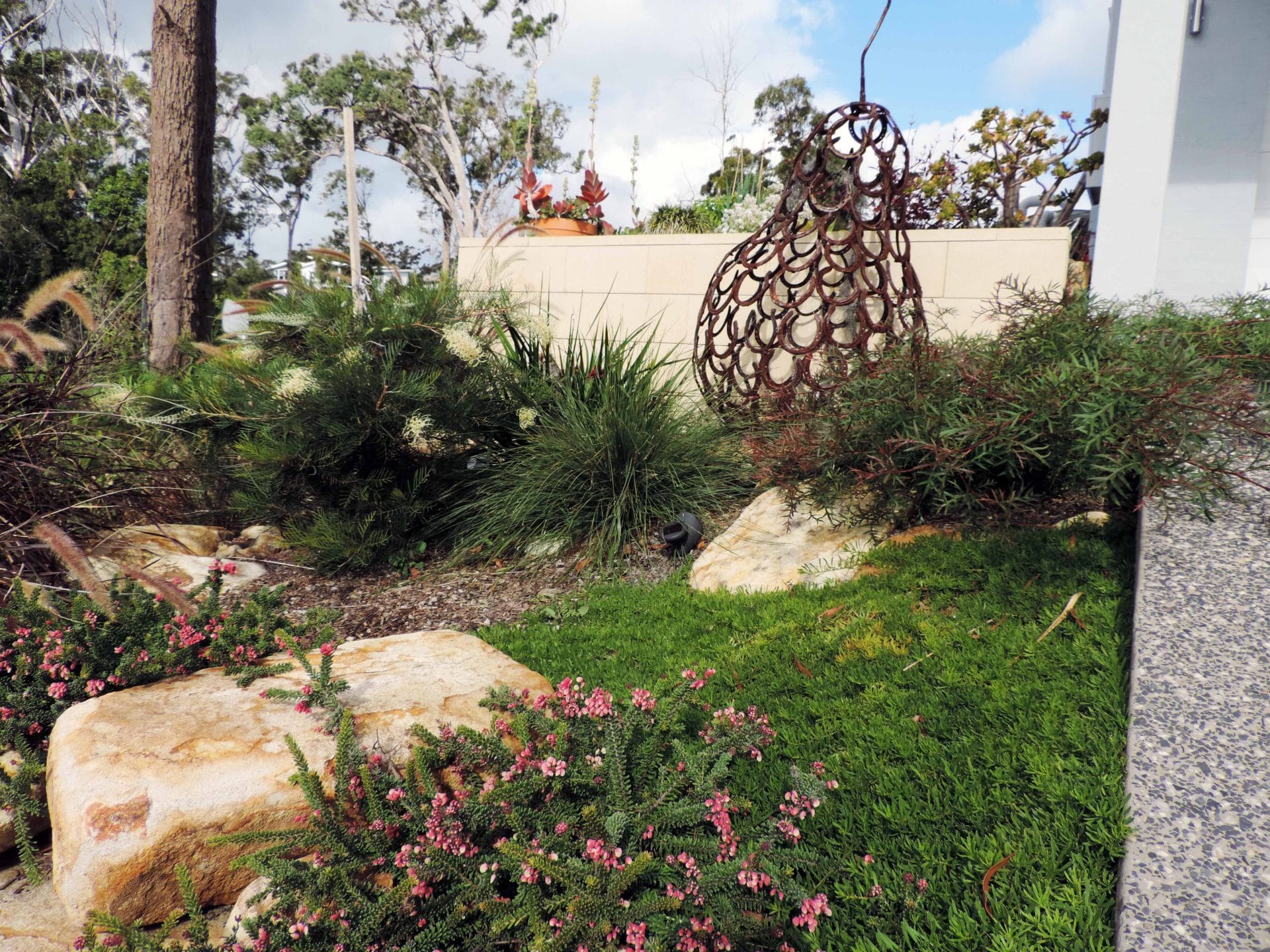 Australian Native Landscape Design Port Stephens, Nelson Bay