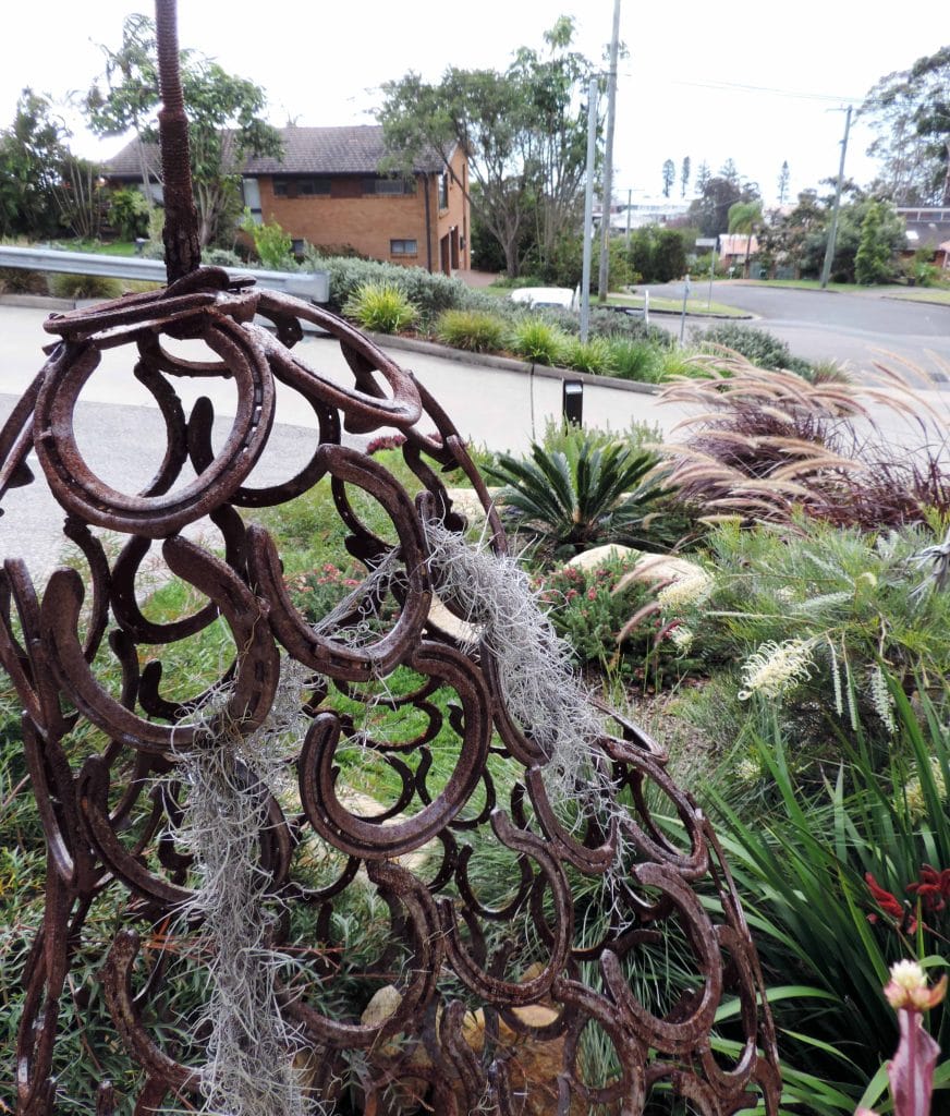 Contemporary Native Garden Design, Nelson Bay, Port Stephens