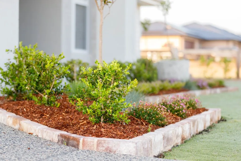 Hamptons Style Garden, Hunter Valley and Newcastle Landscape Design