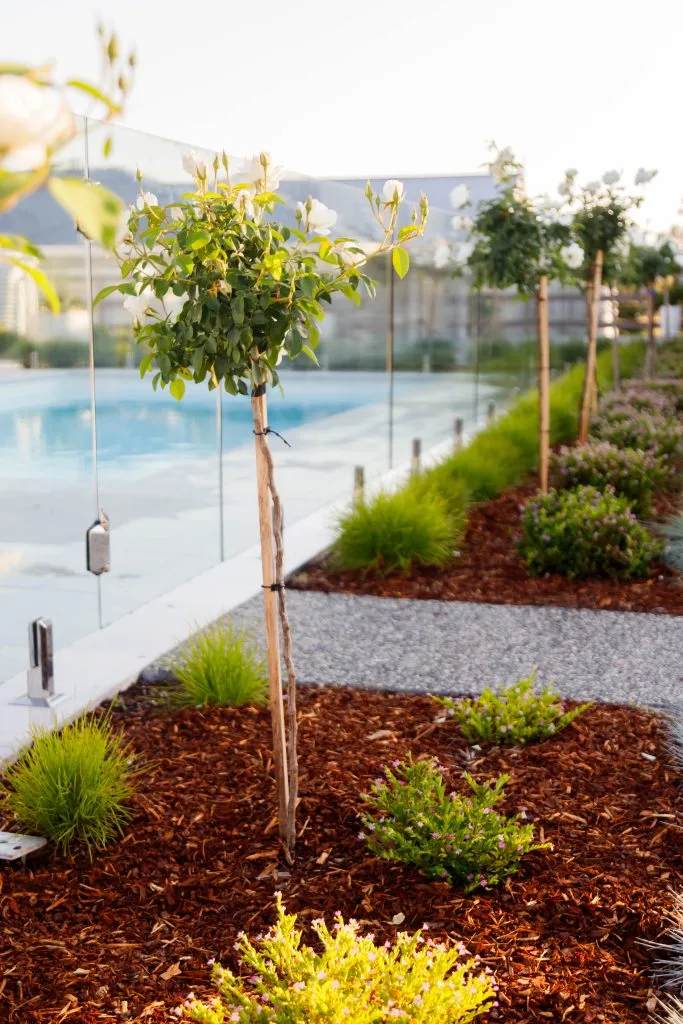 Hamptons Style Garden, Hunter Valley and Newcastle Landscape Design