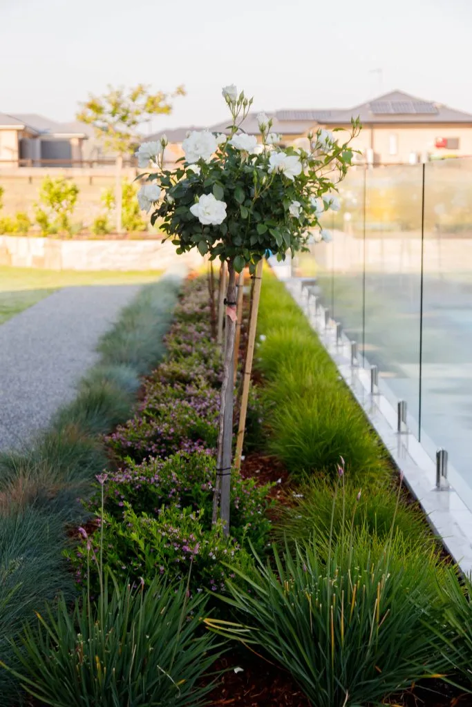 Hamptons Style Garden, Hunter Valley and Newcastle Landscape Design