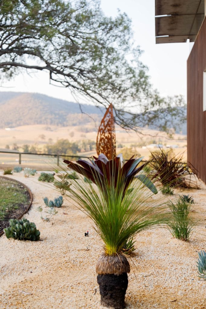 Drought Tolerant Rural Garden Design in the Hunter valley