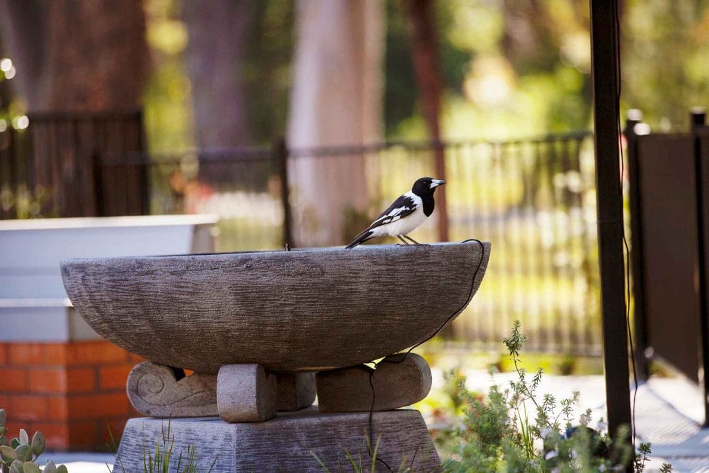 Reflection Garden Tomaree Hospital Nelson Bay - Landscape Design Nelson Bay