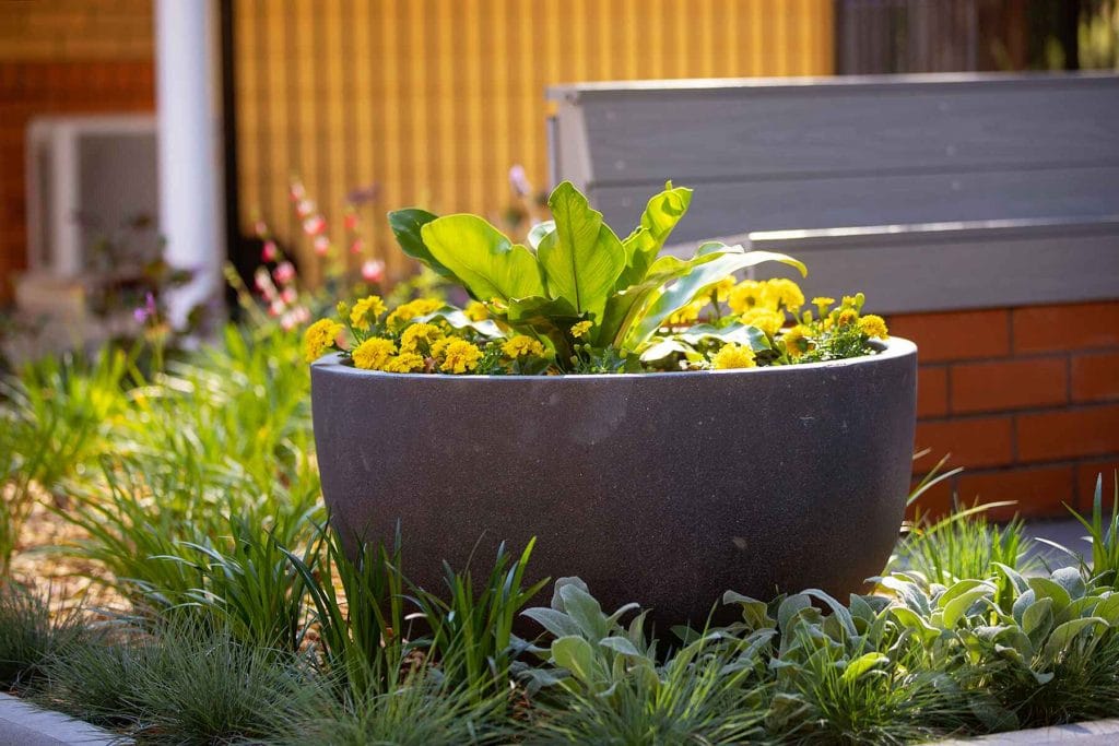 Reflection Garden Tomaree Hospital Nelson Bay - Landscape Design Nelson Bay