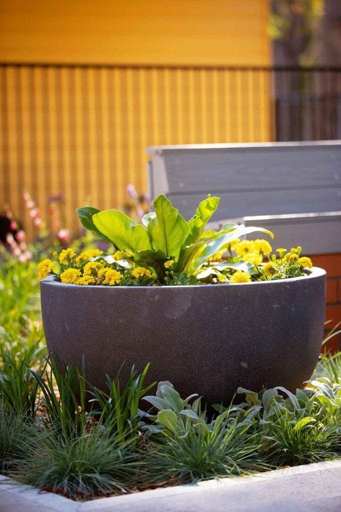 Reflection Garden Tomaree Hospital Nelson Bay - Landscape Design Nelson Bay