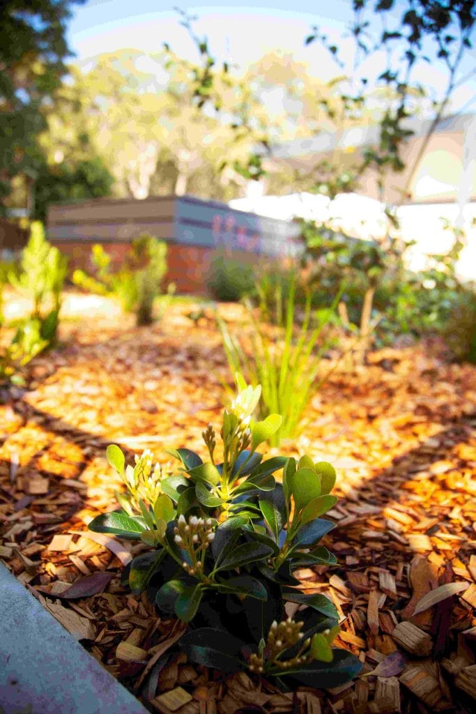 Reflection Garden Tomaree Hospital Nelson Bay - Landscape Design Nelson Bay