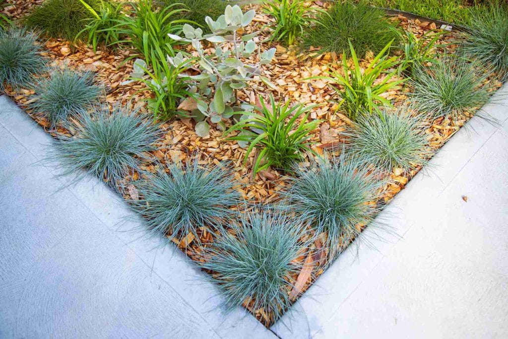 Reflection Garden Tomaree Hospital Nelson Bay - Landscape Design Nelson Bay